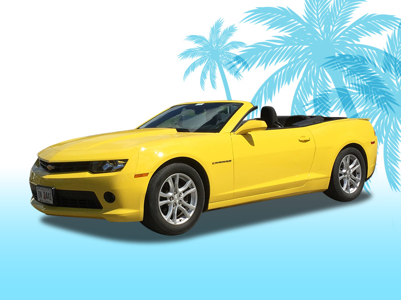 F-class イメージ1